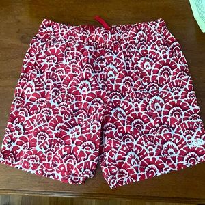 North Face shorts (cool design)